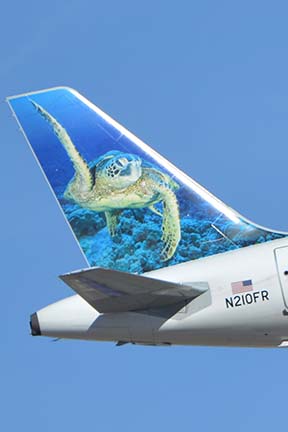 Frontier Airbus A319-214 N210FR Sheldon the Sea Turtle, Phoenix Sky Harbor, January 21, 2016